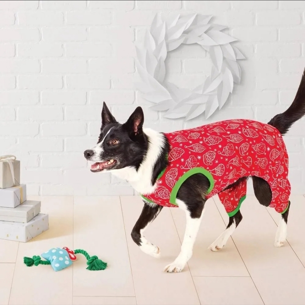 Wondershop Pet Pajamas & Toy Set Nwt